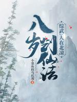 综武：人在北凉，八岁创仙法