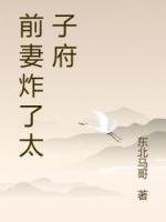 前妻炸了太子府
