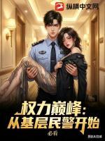 权力巅峰：从基层民警开始