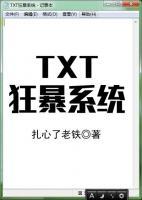 TXT狂暴系统